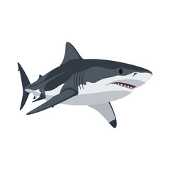A stylized illustration of a great white shark swimming, showing its teeth.