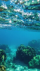 Obraz premium A vast, shimmering lake stretches out under a clear blue sky, surrounded by lush green trees and distant mountains, reflecting the sunlight beautifully.