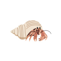 A charming illustration of a hermit crab nestled securely within its spiral seashell home.