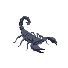 A stylized illustration of a dark gray scorpion, poised with its claws forward.