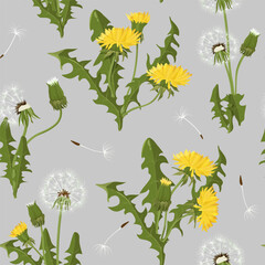 Seamless vector illustration with dandelion on a gray background. For decorating textiles, packaging