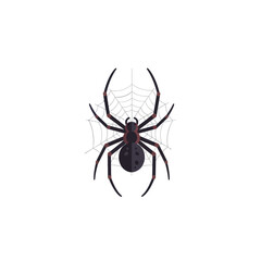 A detailed illustration depicts a black spider with its web against a white background.