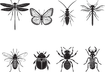 collection of insects
