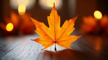  Single orange maple leaf on black background, symbolic close-up of autumn season