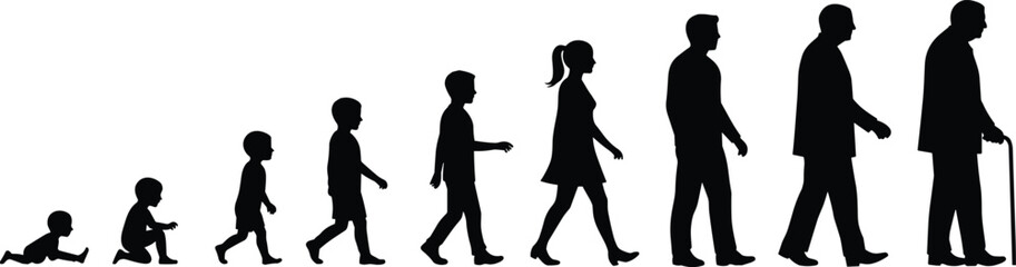 Silhouette illustration of human life stages, aging from infancy to elderly, life journey concept, educational timeline, vector development progression
