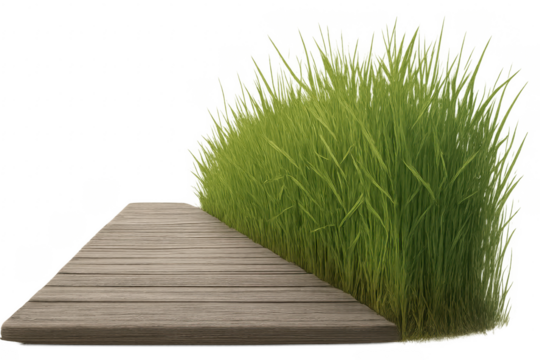 Wooden walkway leading to fresh green grass with transparent background - Powered by Adobe