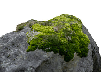 Moss covered rock isolated on transparent background