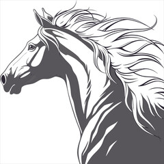 black horse vector 