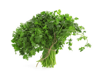 Fototapeta premium Bunch of fresh cilantro isolated on white