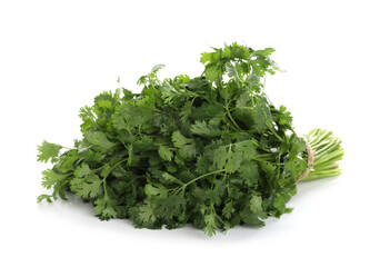 Bunch of fresh cilantro isolated on white