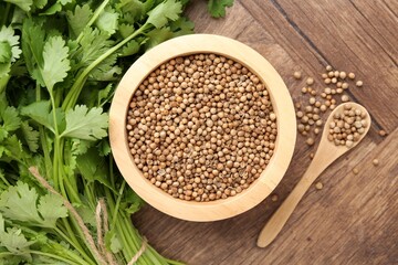 Fresh cilantro and coriander seeds on wooden table, top view