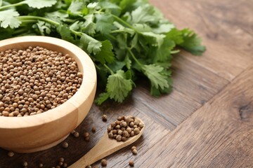 Fresh cilantro and coriander seeds on wooden table, closeup. Space for text