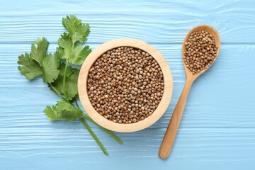 Coriander seeds and fresh cilantro on light blue wooden table, flat lay