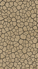 Dry Cracked Earth Texture Background Seamless Pattern