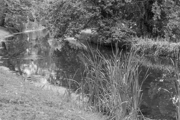 Obraz premium In den Parkanlage von Potsdam