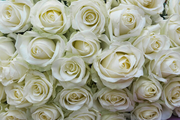 Beautiful bouquet of white roses. Bunch of many colorful fragrant flowers.