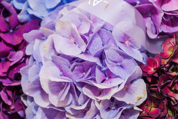 A luxurious bouquet of different shades of lilac hydrangeas. Bunch of many colorful fragrant flowers. Floristry and floral design concept. Floral texture