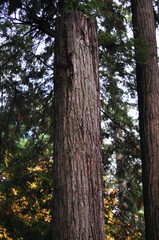 naturaleza