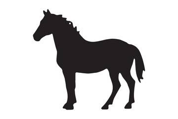 Obraz premium Horse Silhouette