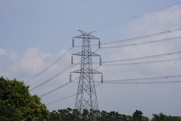 The electric transmission against the blue sky background and lush foliage in the foreground