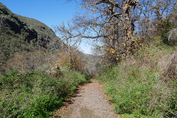 Wanderweg im Barranco de la Virgen auf Gran Canaria