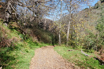 Wanderweg im Barranco de la Virgen auf Gran Canaria