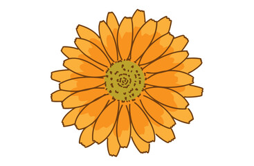 マリーゴールド(キンセンカ)の手描き線画イラスト03