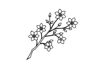 Elegant Black and White Cherry Blossom Branch