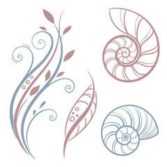 Delicate floral swirls and nautilus shells in muted tones organic