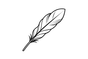Obraz premium Simple Black and White Feather Illustration