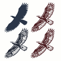Dark blue and maroon eagles soaring bird flying