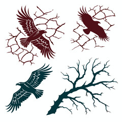 Flying eagles and bare tree branches hawk bird