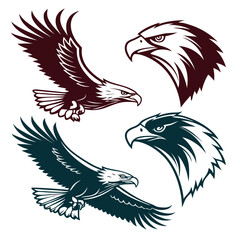 Majestic eagles in flight and head profiles falcon bird