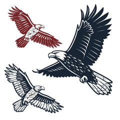 Majestic eagles soaring in flight with textured wings bird flying