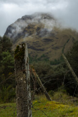 Parque Nacional Cajas en la Provincia de Azuay en Cueca, Ecuador. Una especie de paramo con diversidad de animales, senderos que atraviesan bosques nubosos de hoja perenne y sus cientos de lagunas.