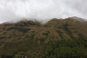 Parque Nacional Cajas en la Provincia de Azuay en Cueca, Ecuador. Una especie de paramo con diversidad de animales, senderos que atraviesan bosques nubosos de hoja perenne y sus cientos de lagunas.