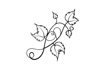 Ornate Vine Design with Leaves