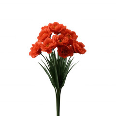 A beautiful bouquet of vibrant red flowers with green leaves, perfect for adding a pop of color to any design. Ideal for floral arrangements or decorative purposes.