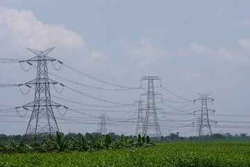 Several high-voltage power lines supported by transmission towers in the agricultural field