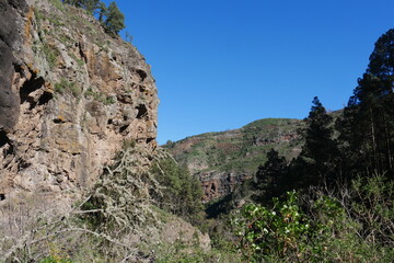Schlucht mit Fels und Kiefernwald im Barranco de la Virgen auf Gran Canaria