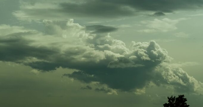 Timelapse of cloudy sky preparing for the storm with massive fluffy white and gray cloud rolling and changing shape and one lonely tree visible in the bottom part of image