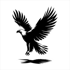 Black silhouette of a flying eagle with wings spread wide in white background