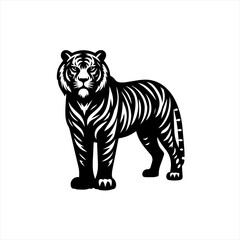 Naklejka premium Tiger standing on a white background