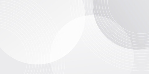 White geometric abstract background overlap layer on bright space with lines effect decoration. Modern graphic design element circles style concept for banner.