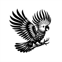 Obraz premium Cockatoo in flight, wings spread wide