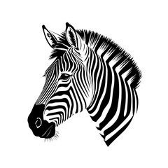 zebra vector illustration