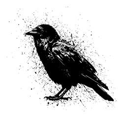 A full body illustration of a solid black crow with drip and splatter effects in a Black and White Drip Splat Abstract Art style