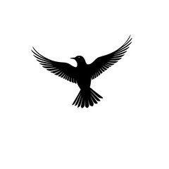 Obraz premium vector illustration of a flying eagle