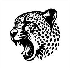 Leopard head roaring isolated on white background