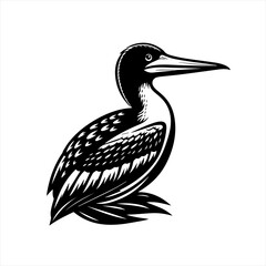 Obraz premium Loon bird isolated on white background